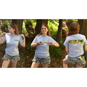 Heather Grey Bumper Sticker Tee Shirt